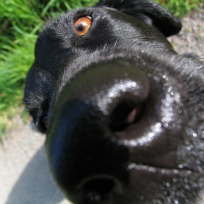 Profile Picture of Jim Horn (@jdhorn) on Twitter