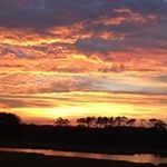 Profile Picture of Cindy Eckman (@cindylouwho0115) on Instagram