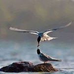 Profile Picture of Mike said (@mouhammadsaid0) on Instagram