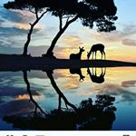 Profile Picture of jonathan leonard (@jonathanleonardp) on Instagram
