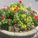 Profile Picture of trudy walker (@trudywalker2744) on Instagram