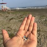 Profile Picture of Isabel Clara Acosta Coley (@isabelclara101) on Instagram