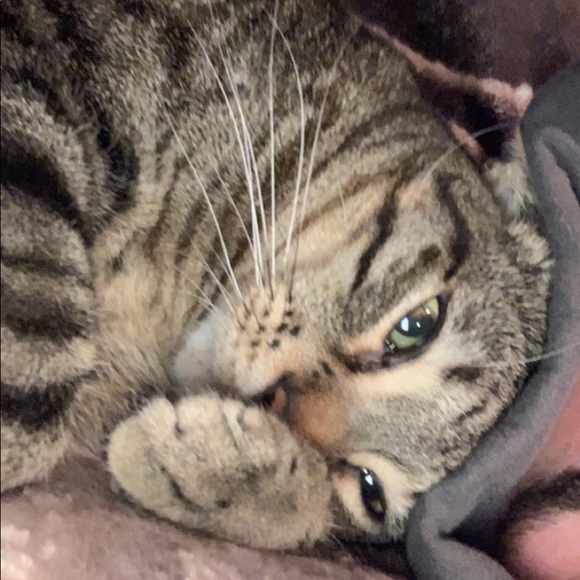 Profile Picture of Michael Compagnone (@mtcompagn1) on Poshmark