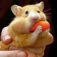 Profile Picture of Mark Zyskowski (@mark-zyskowski) on Quora