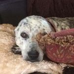 Profile Picture of Jeanne Strack (@seniorscentermom) on Instagram