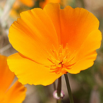 Profile Picture of Polychrome Pictures (@Polychrome Pictures) on Flickr
