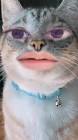 Profile Picture of   TikTok de javier pliego... (@javierpliegoi) on Tiktok