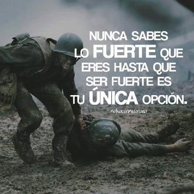 Profile Picture of Sergio Ron (@SergioRon3) on Twitter