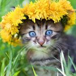 Profile Picture of Elsa Carbonel (@elsacarbonel) on Instagram