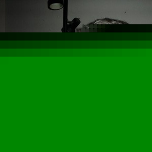 Profile Picture of Richard Palacios (@raptex820) on Myspace