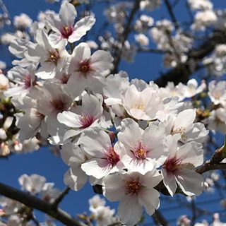 Profile Picture of 比嘉美智子 (@&) on Facebook