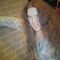 Profile Picture of Wayne Reavis (Gary Wayne Reavis) (@wayne.reavis.5) on Facebook