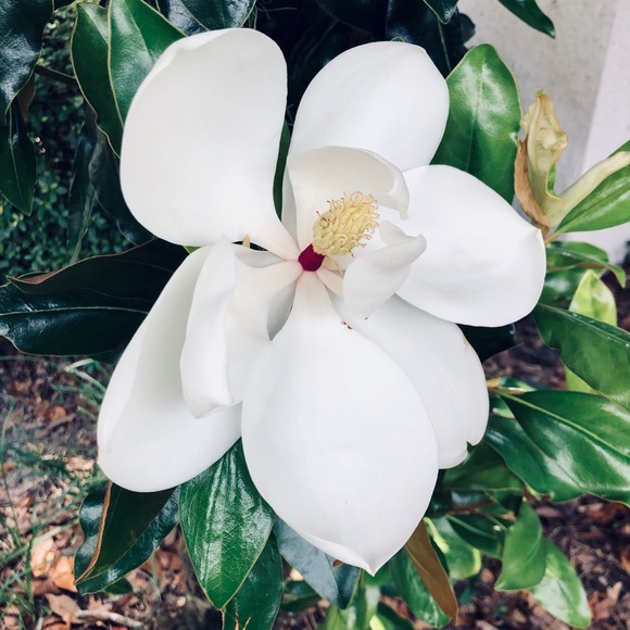 Profile Picture of Brittany Kinsey (@blutrout) on Poshmark