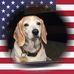 Profile Picture of Scott Backus (@scott.backus.14) on Facebook