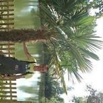 Profile Picture of Thomas Helbing (@thomas.helbing) on Instagram