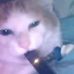 Profile Picture of Gabe Campbell (@gabe.campbell.963) on Facebook