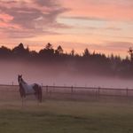 Profile Picture of lich bins tim (@ich_bins_tim__hh.cnhhhgnxnmcmj) on Instagram