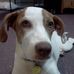 Profile Picture of Chris Cecchini (@chris.cecchini.71) on Facebook