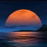 Profile Picture of Lawrence Levinson (@levinsonlawrence) on Instagram