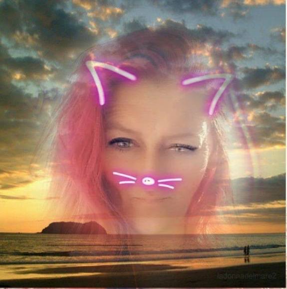 Profile Picture of Robin Brinkley (@robinbrinkley) on Poshmark