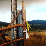 Profile Picture of Jim and Roice McCollum (@jimandroice) on Instagram