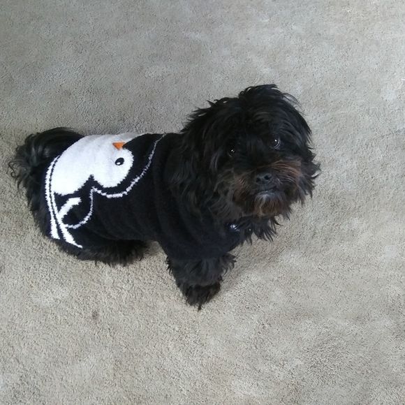 William Millette - Poshmark Profile Picture of William Millette (@williammillette) on Poshmark