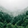 Profile Picture of Forest Butler (@@forestbutler) on Tiktok