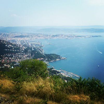 Profile Picture of Angelo Verrone (@angelit099) on Twitter