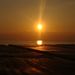 Profile Picture of Sandy Grace Scott (@sandyscott) on Pinterest