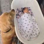 Profile Picture of Cooper_Claudii_Levon (@cindyfamily_2015) on Instagram