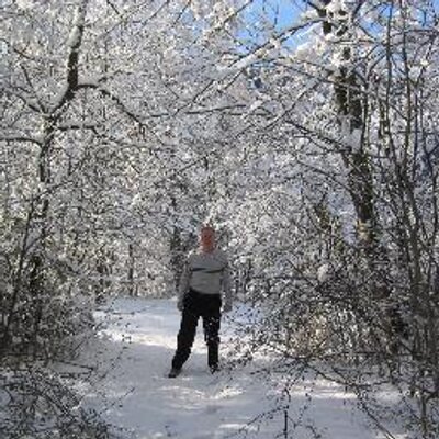 Profile Picture of Stephen Headrick (@sheadric) on Twitter