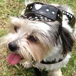 Profile Picture of Robyn Russell (@robynrussell1004) on Instagram