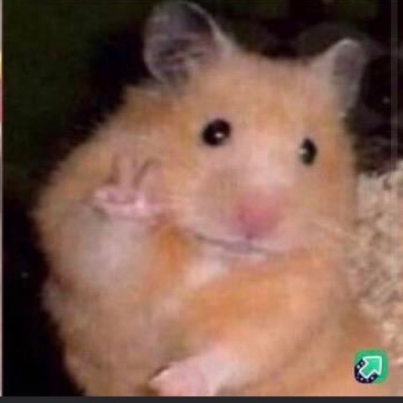 Profile Picture of Diana Quinteros (@sliceoftoast) on Poshmark