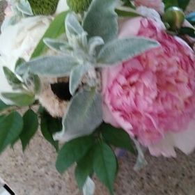 Profile Picture of Debbie Hughes (@hughes2523) on Pinterest