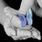 Profile Picture of Miriam (@mariposas mágicas) on Flickr