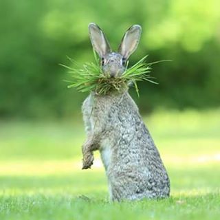 Profile Picture of Stepen Corry (@stepen.corry) on Facebook