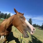 Profile Picture of Fallon Maloney (@fallon.maloney.2025) on Facebook