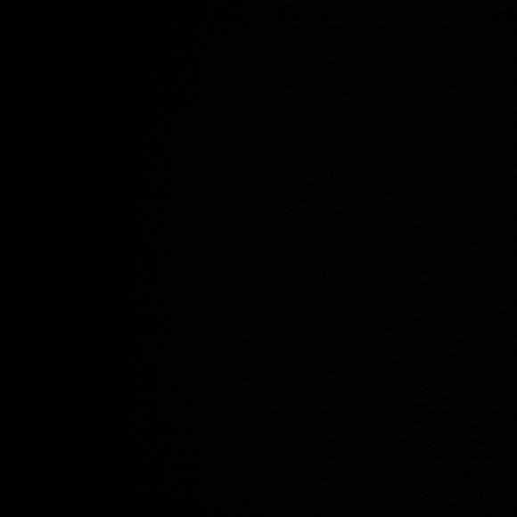 Profile Picture of Magosia Dziurzynski (@magoose420) on Poshmark