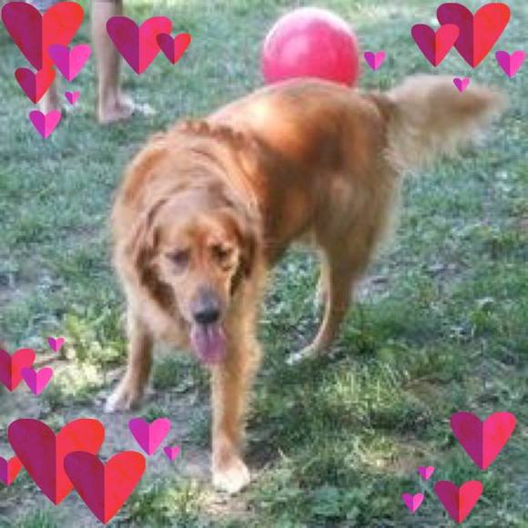 Brian Jeanette - Poshmark Profile Picture of Brian Jeanette (@brianjeanette) on Poshmark