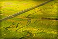 Profile Picture of Terai - Wikipediaon Wikipedia
