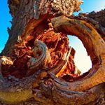 Profile Picture of Doris Zimmermann (@zimmermann5714) on Instagram