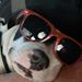 Profile Picture of Jason A Toste (@jasonatoste) on Pinterest