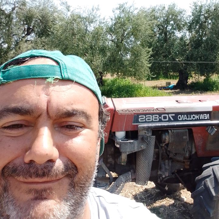 Profile Picture of Nicholas Lauda (@nicholas.lauda) on Tiktok