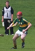 Profile Picture of Brendan O'Leary (hurler)on Wikipedia