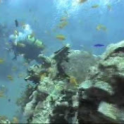 Profile Picture of Simon Fields (@Fieldsy1) on Youtube