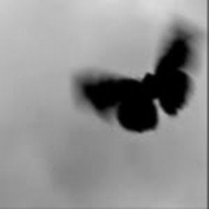 Profile Picture of allisonminnich6 (@allisonminnich6) on Tiktok