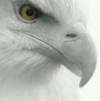 Profile Picture of Robin Fenty (@Robin-Fenty) on Facebook