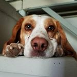 Profile Picture of Paige Anne Lindquist (@paigeio_07) on Instagram