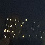 Profile Picture of Amanda Almgren (@amandiispandis) on Instagram