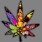Profile Picture of Danny Ray Lamb (@danny_lamb420friendly) on Instagram